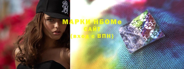 индика Козловка