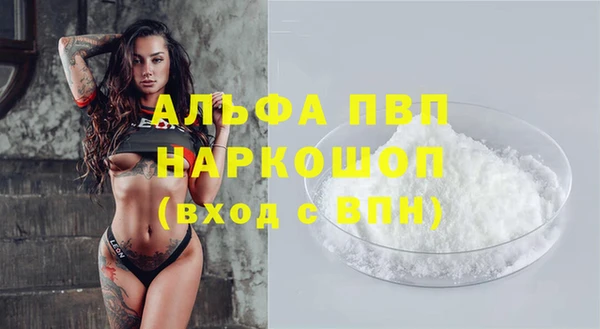 крисы Коряжма