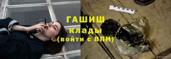 индика Козловка