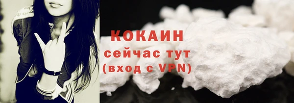 крисы Коряжма