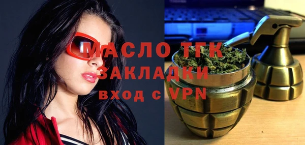 крисы Коряжма