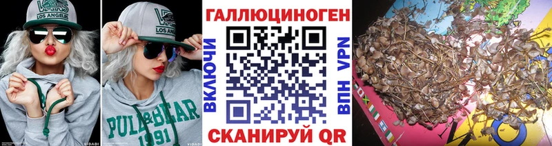 Галлюциногенные грибы Cubensis  Купить  Корсаков 